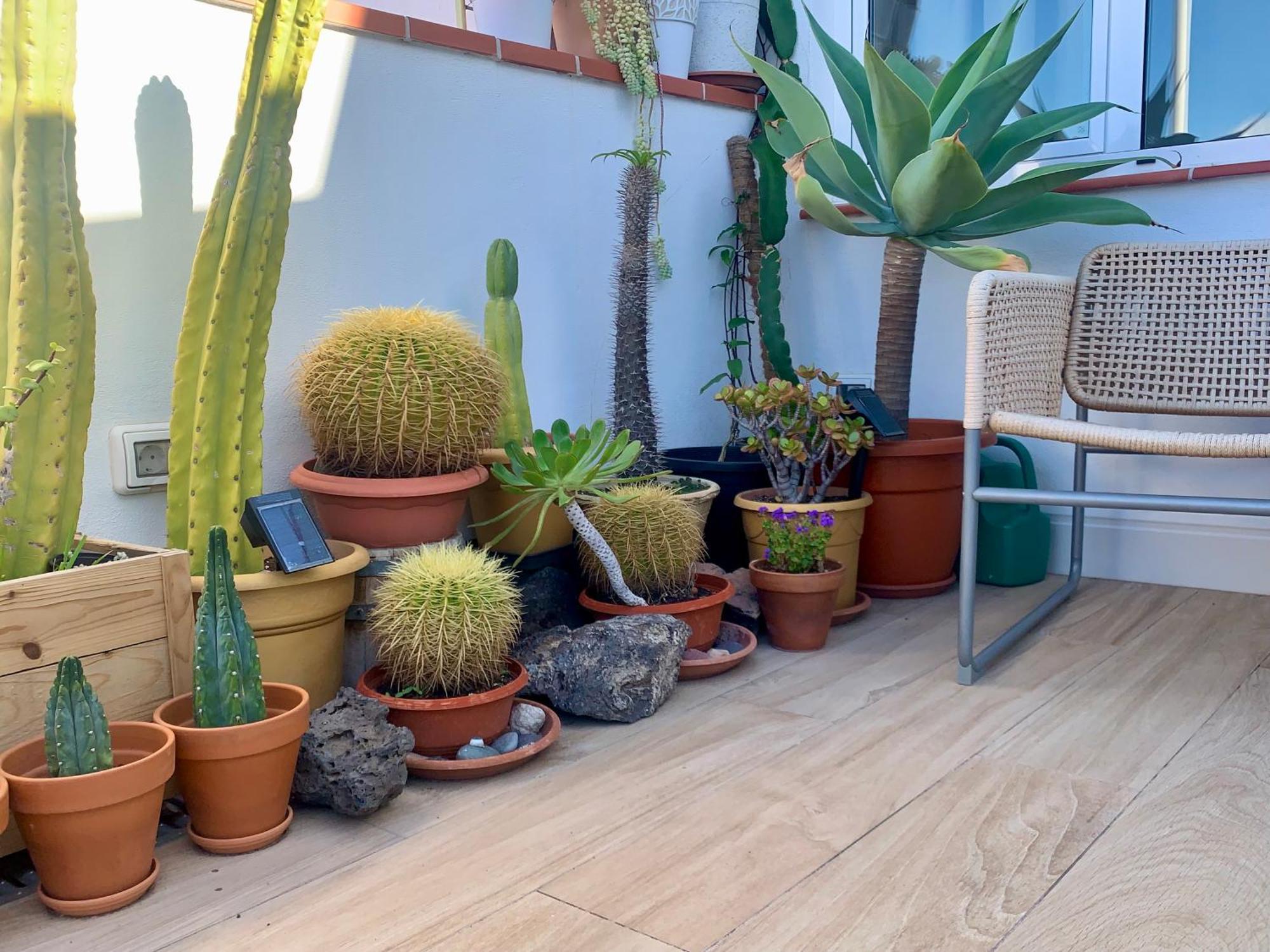 Apartmán Atico Con Terraza, Vistas Panoramicas Y Parking Santa Cruz de Tenerife Exteriér fotografie