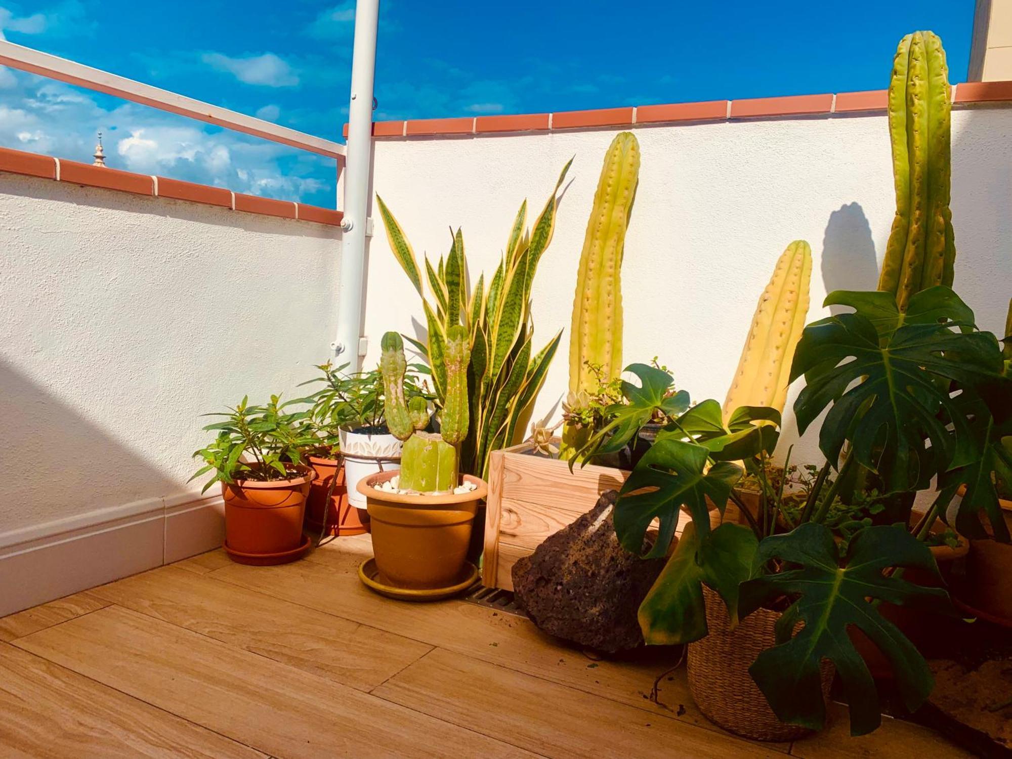 Apartmán Atico Con Terraza, Vistas Panoramicas Y Parking Santa Cruz de Tenerife Exteriér fotografie